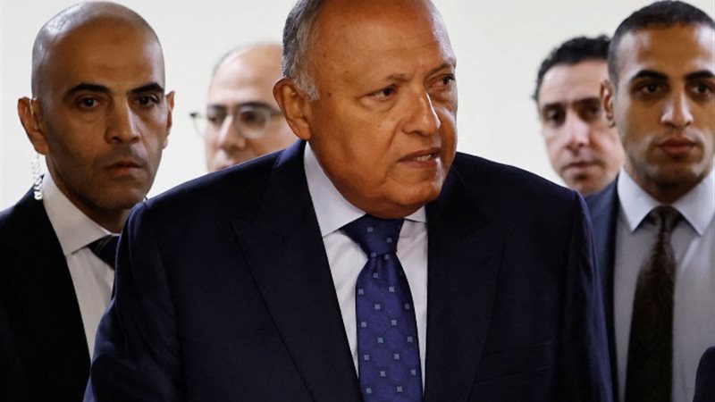 سامح شكري وزير الخارجية