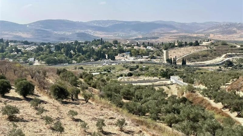 مستوطنة معاليه أودميم