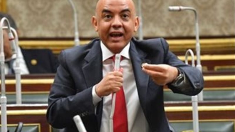 النائب عمرو هندي عضو مجلس النواب