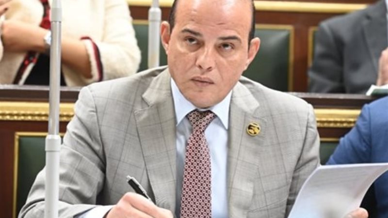 النائب عمرو القطامي