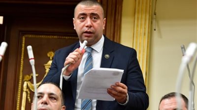 «برلمانية حماة الوطن»: سوق الطاقة الجديدة قادر على توفير النقد الأجنبي