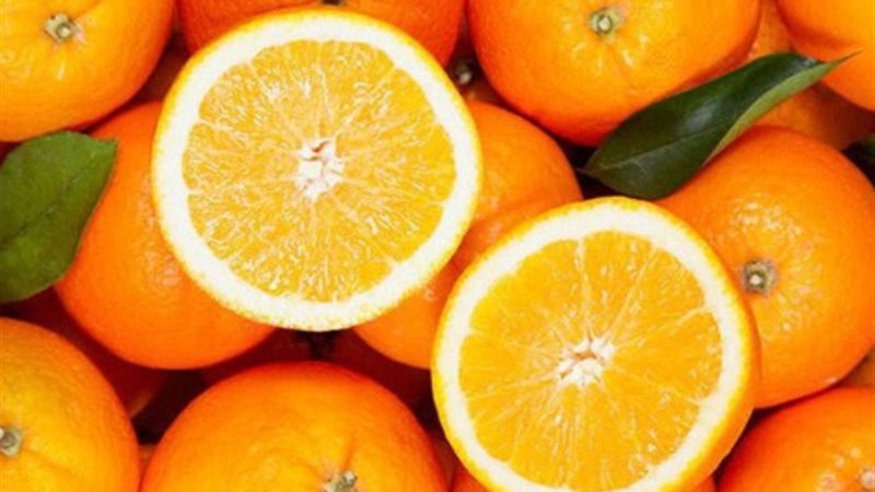 سعر البرتقال