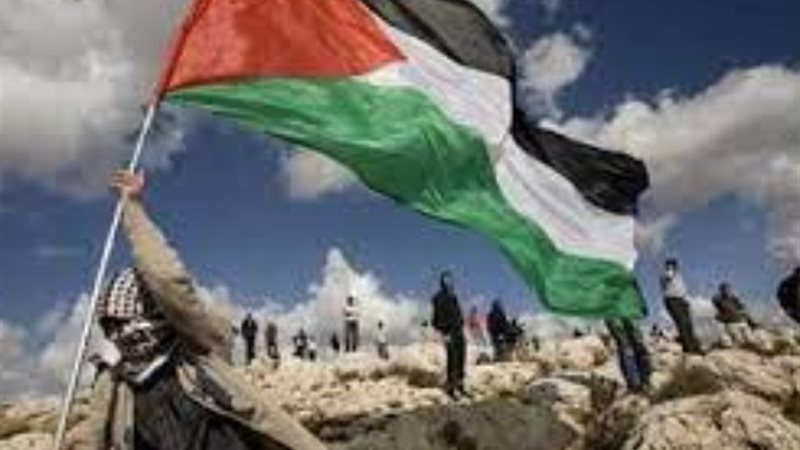 أرشيفية