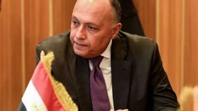 سامح شكرى: غض بصر بعض الأطراف عن تناول معاناة الفلسطينيين أمر مشين