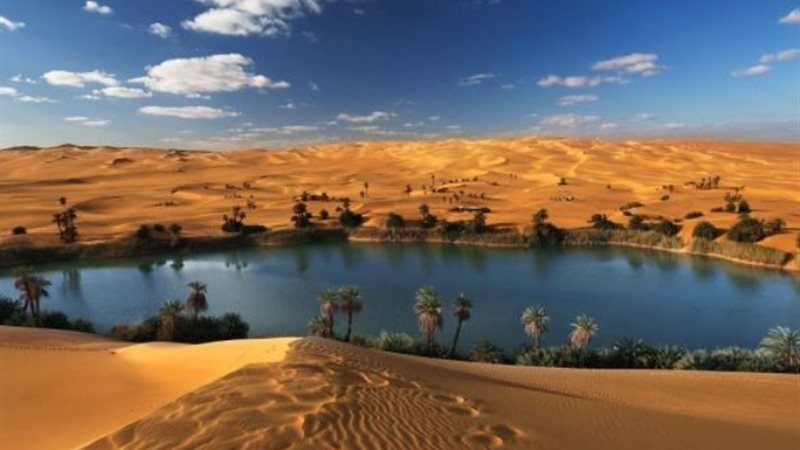 واحة سيوة
