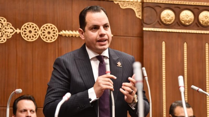 النائب أحمد فوزى