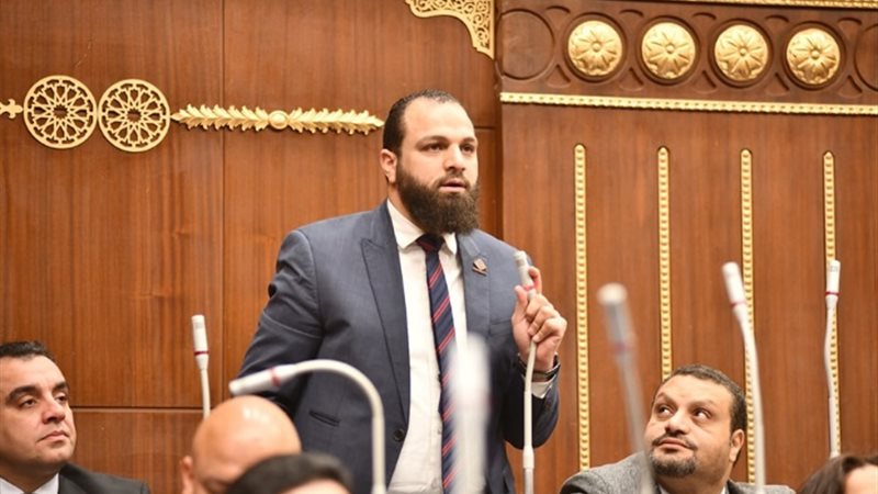النائب محمود تركي
