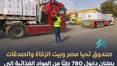 مصر تمد يد العون لغزة قبل رمضان: قافلة إنسانية تجسد قيم التضامن