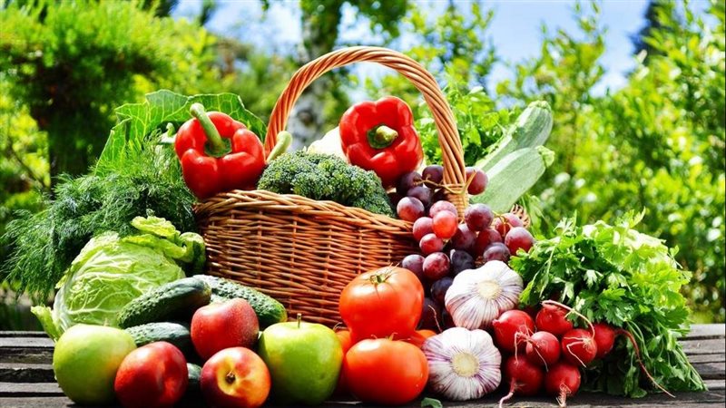 الخضراوات والفاكهة 