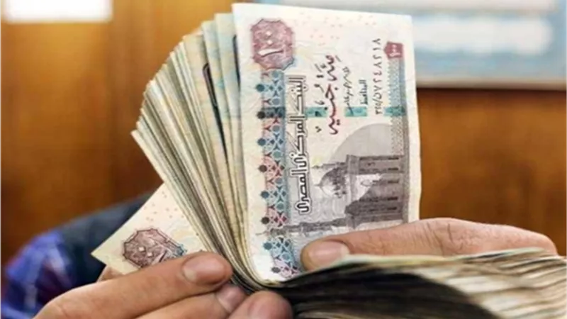 مرتبات 