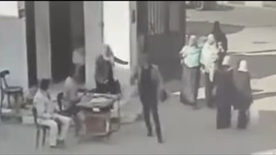 إحالة واقعة تعدٍ بمديرية الزراعة بالغربية للتحقيق وإيقاف طرفيها عن العمل