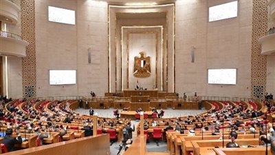 اقتصادية النواب: دبلوماسية القاهرة تمنع انزلاق المنطقة نحو الفوضى