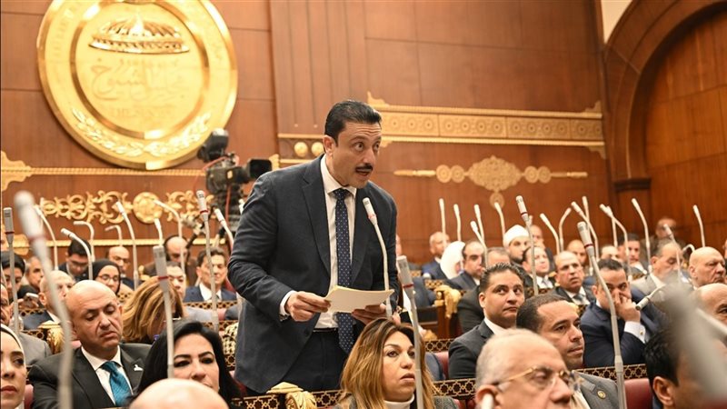 النائب محمد رزق عضو مجلس الشيوخ