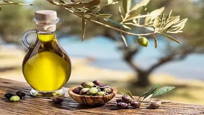 زيت الزيتون البكر يساهم في حماية الدماغ.. دراسة توضح 