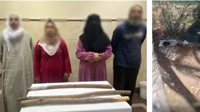 خلافات الميراث.. كشف تفاصيل فيديو التعدي على سيدة وإلقائها بترعة في البحيرة 