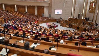 كيف تساهم الرقابة على السلع الاستراتيجية في حماية الأسواق؟.. نائب يوضح