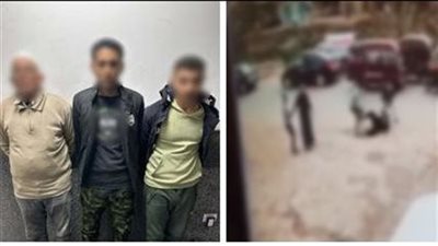 لاعتدائهما على آخر بسلاح أبيض وعصا خشبية في الدقهلية.. شخصان يواجهان هذه العقوبة