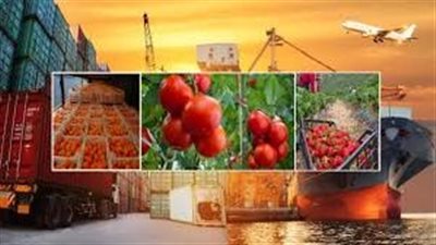 تحديات جديدة للصادرات المصرية.. ثلاث وزارات تتكاتف لمواجهة صدمة الغلق الجوي