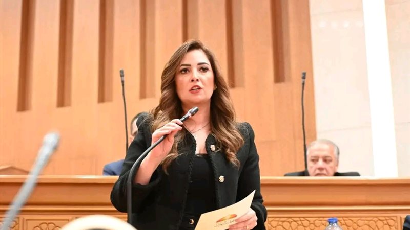 النائبة أميرة العادلي ،عضو مجلس النواب