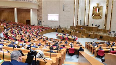 نائب: سياسة مصر الخارجية تربط أمن الخليج باستقرار الوطن العربي
