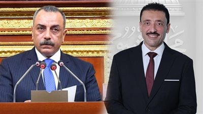النائب محمد رزق يهنئ إيهاب الطماوي لتعيينه عضوًا بالمجلس القومي لحقوق الإنسان