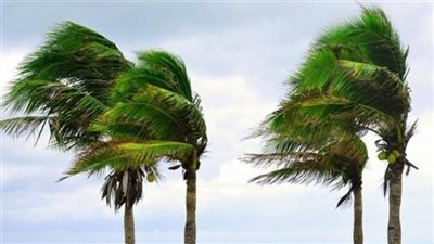الأرصاد تحذر: شبورة ورياح تضرب البلاد من الخميس إلى الإثنين