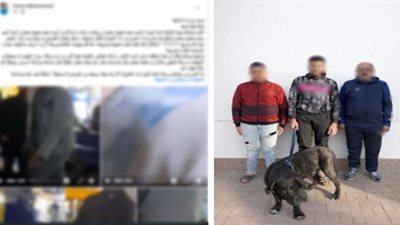 بسبب خلافات الجيرة.. كشف تفاصيل تعدى عامل ونجليه على سيدة وتهديدها بكلب 