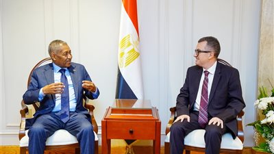 وزير التخطيط يبحث مع السفير السوداني آليات دعم إعادة الإعمار ونقل الخبرات المصرية
