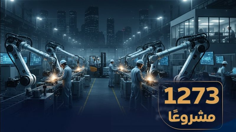  الاستثمارات المحلية والأجنبية