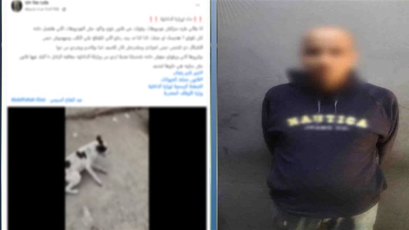 المتهم 