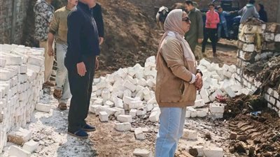 محافظ القليوبية يتابع جهود 