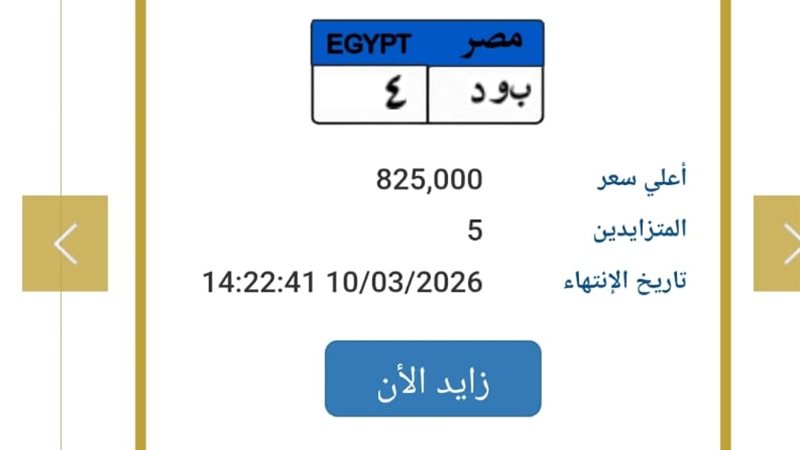 مزاد اللوحات المميزة