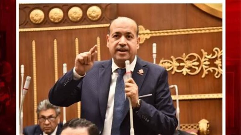 النائب أحمد سيد عضو مجلس الشيوخ 
