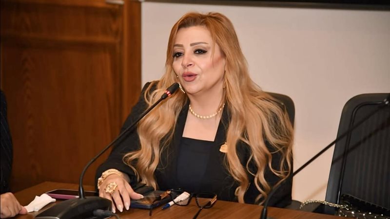  النائبة هبة غالي عضو مجلس النواب