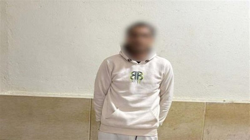 صورة توضيحية 