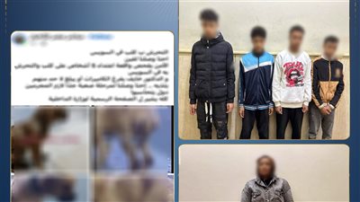 الداخلية تكشف حقيقة 