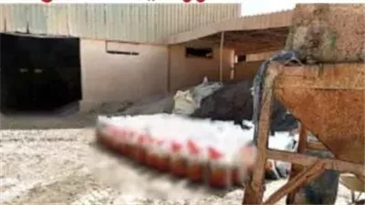 لتحقيق أرباح غير مشروعة.. سقوط مافيا الأسمدة المغشوشة بالمنوفية