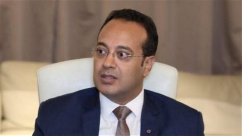 الدكتور حامد فارس، أستاذ العلاقات الدولية