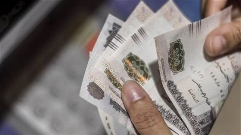 المرتبات 