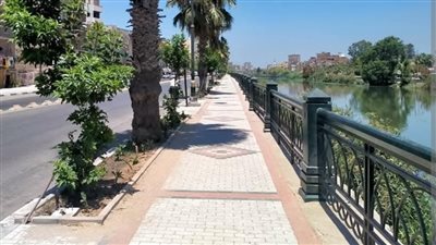طفرة تنموية في دمنهور 2026.. جامعة أهلية ومنطقة لوجستية وتطوير ميادين المدينة