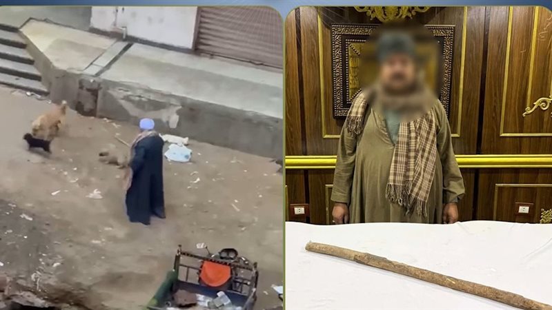 المتهم 