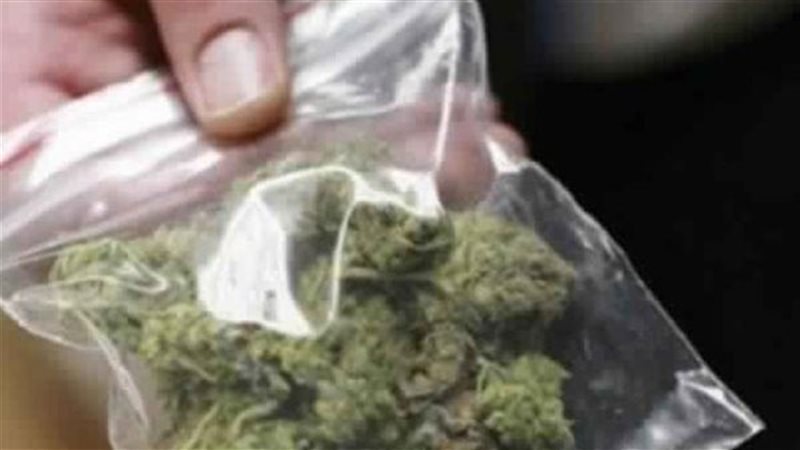  إحباط محاولة تهريب ماريجوانا مع راكب بريطاني بمطار سفنكس