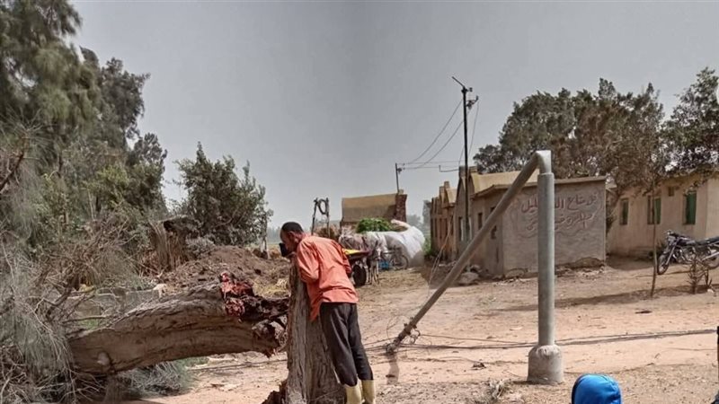 صورة من موقع الحادث 