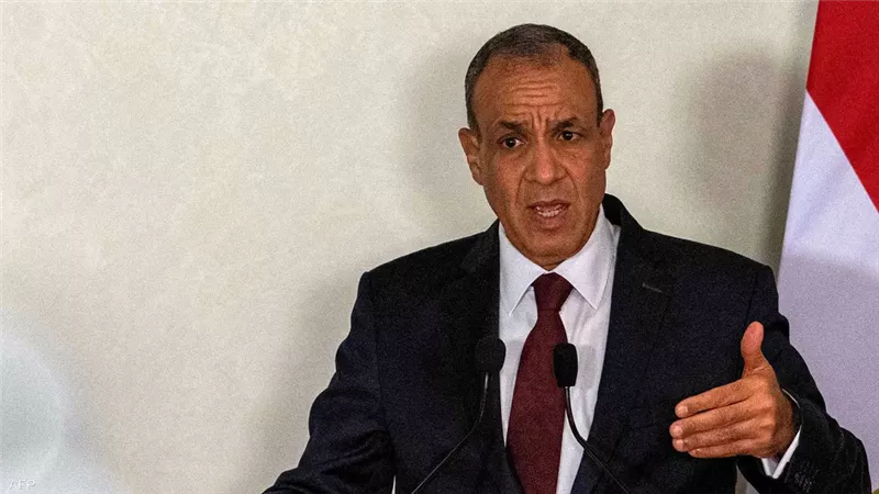 بدر عبد العاطي