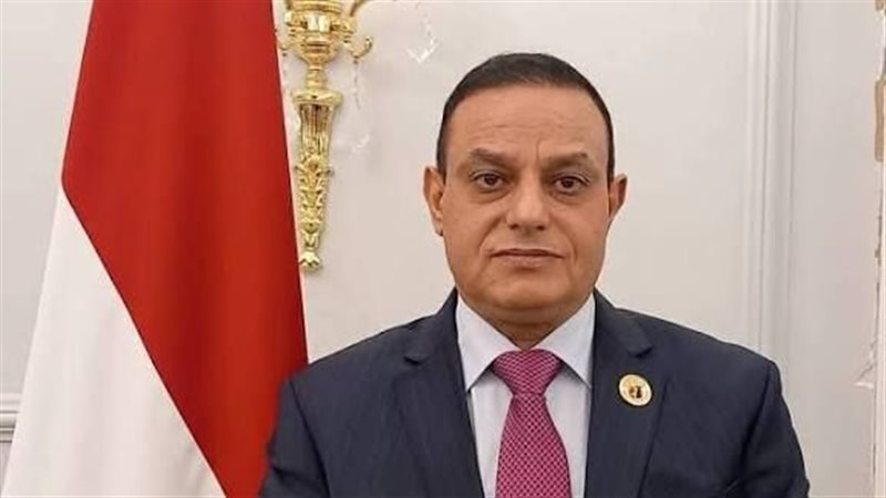 النائب مختار همام 
