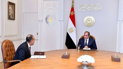 الرئيس السيسي يطلع على نتائج زيارة وزير الخارجية لدول الخليج لتنسيق المواقف المشتركة