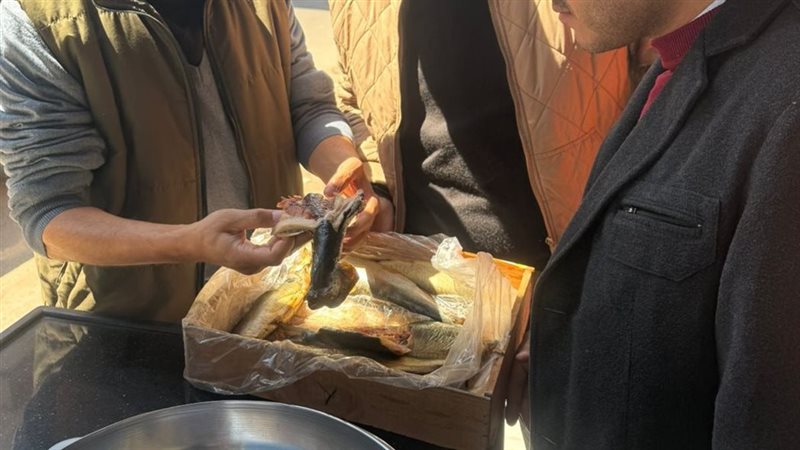 محافظ الغربية 