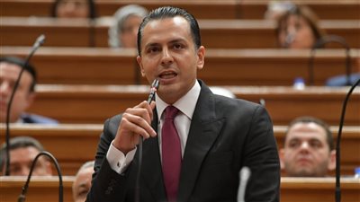 عبدالجواد: أمن الخليج من صميم الأمن القومي المصري ودعم كامل للرئيس السيسي