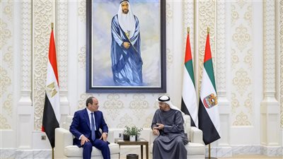 محمود مرجان: جولة السيسي الخليجية تؤكد التزام مصر بأمن المنطقة وتعكس عمق العلاقات التاريخية