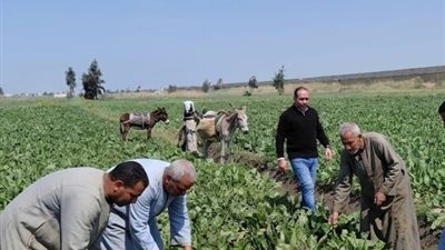 وزير الزراعة يتابع تقارير غرف العمليات وسير العمل الميداني في أول أيام العيد